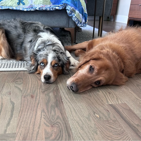 Meet your Posher, Cheryl - Picture 6 of 8